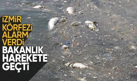İzmir Körfezi Bilim Kurulu acil eylem planı için toplandı