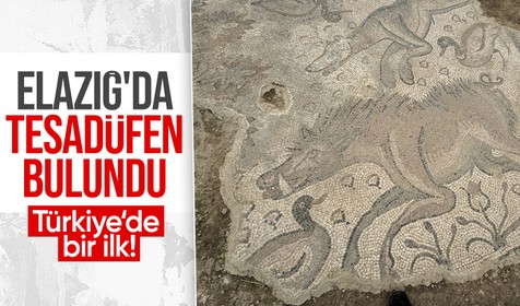 Türkiye’de bir ilk! Elazığ'da tesadüfen bulunan tarihi mozaikte hayvan figürlerinin resmedildiği tespit edildi