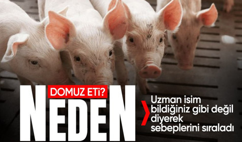 Dana etinden daha pahalı! Domuz eti neden kullanılıyor, zararları ne?