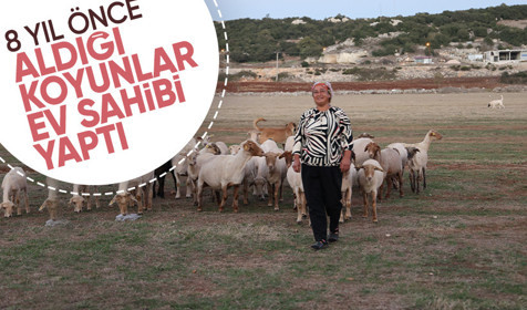 8 yıl önce aldığı koyunlar şimdi ev ve araba sahibi yaptı: Kurslarda eğitim alarak çobanlık belgesini aldı