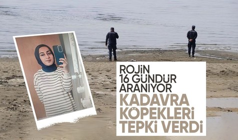 Rojin'i arama çalışmaları devam ediyor: Kadavra köpekleri tepki verdi