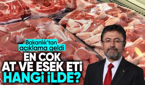 Bakanlıktan açıklama geldi! İşte en çok at, eşek ve domuz eti bulunan şehirler
