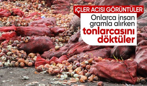 Yeşilırmak Nehri'nde kahreden manzara! Çuvallar dolusu soğan ve patlıcan döktüler!