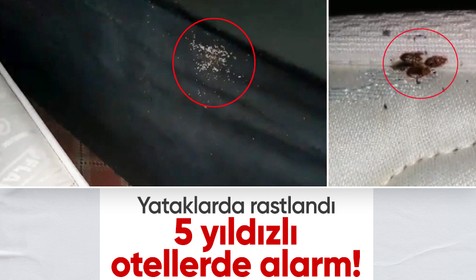 5 yıldızlı otellerde tahtakurusu alarmı: Yataklarda, baza altlarında, dolaplarda rastlandı