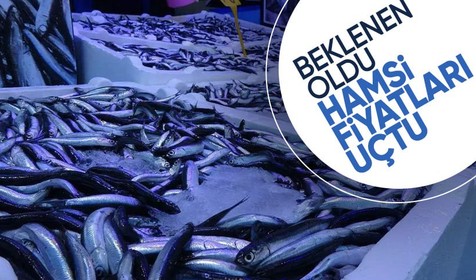Balık fiyatları tırmanışta: Palamut bolluğu hamsiyi vurdu