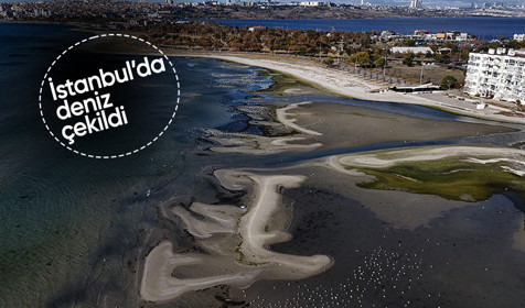 İstanbul Küçükçekmece'de deniz çekildi! Adacıklar oluştu balıkçılar avlanmaya çıkamadı
