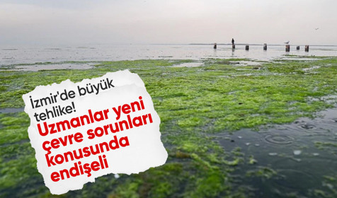 İzmir'de balık ölümlerinden sonra şimdi de yosun kirliliği