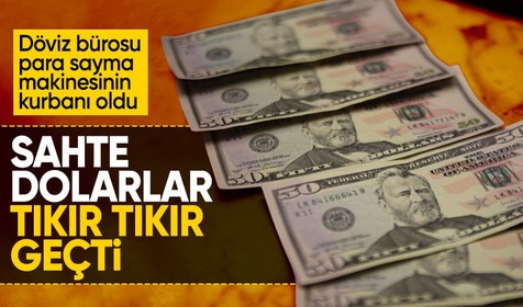 Para sayma makinesindeki yazılım hatası pahalıya mal oldu