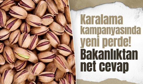 AB'nin geri gönderdiği fıstıklar için ihale açıldığı iddiasına Ticaret Bakanlığından yalanlama
