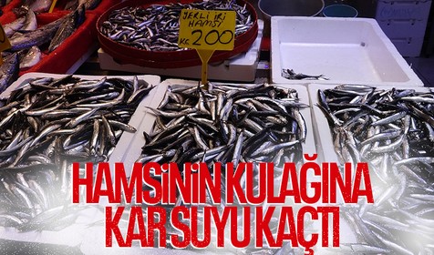 Kar suyuyla lezzetlenen hamsi 200 liraya kadar çıktı, fiyata rağmen ilgi azalmadı