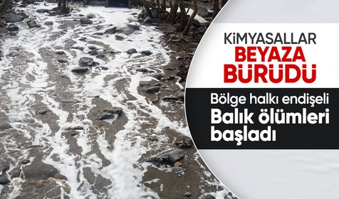 Balıkesir'de Ketenlik Deresi, kimyasallarla beyaza büründü