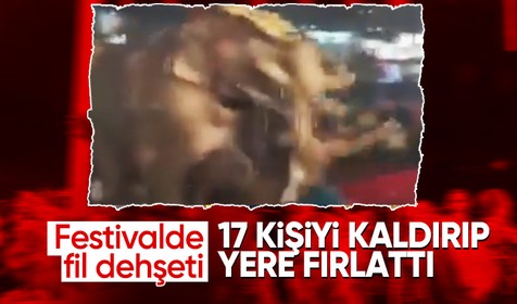 Hindistan’daki festivalde insanlara fil saldırdı: 17 yaralı