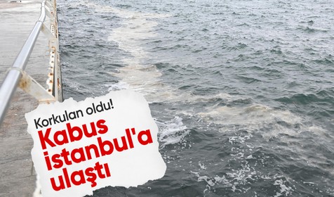 Korkulan oldu: Bostancı Sahili ile Adalar açıklarında müsilaj