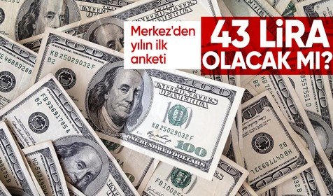 Merkez Bankası'nın anketinden çıkan sonuç iç kararttı! Dolar için 43 lira dediler