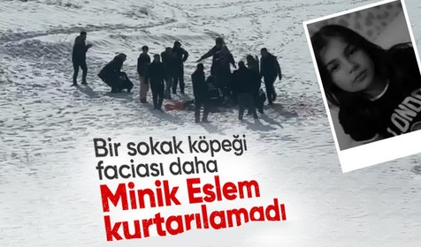 Hakkari'de sokak köpeklerinin saldırdığı 12 yaşındaki kız hayatını kaybetti