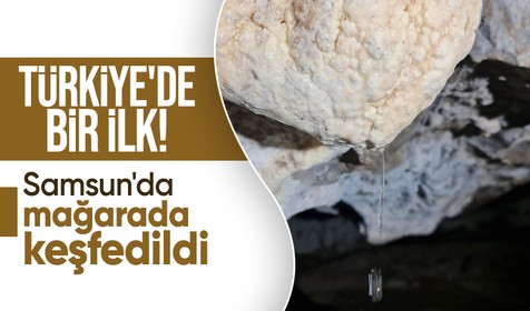 Türkiye'de ilk defa 'Ay sütü' bakterisi bulundu