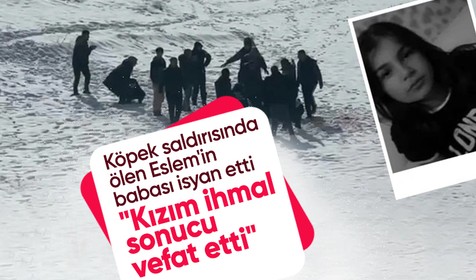 Hakkari'de köpek saldırısında ölen Eslem'in babası isyan etti