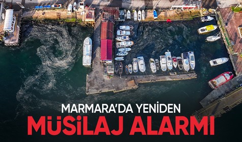Marmara'da tekrardan müsilaj alarmı: Adalarda yeniden görüldü