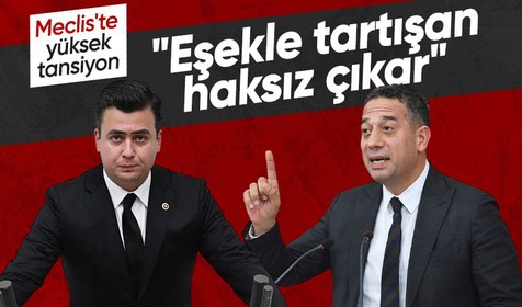 TBMM'de gerilim tavan: Eşekle tartışan haksız çıkar