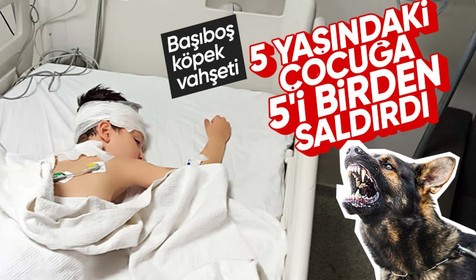 Adıyaman’da vahşet: 5 köpeğin saldırdığı 5 yaşındaki çocuğun tedavisi Gaziantep’de devam edecek