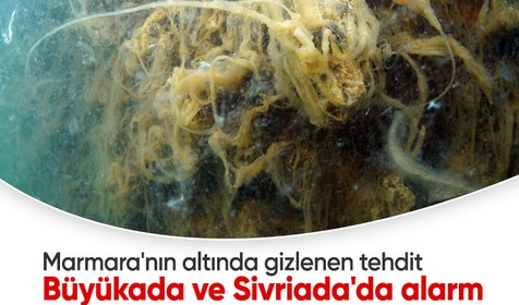 Marmara'nın altında gizlenen tehdit: Büyükada ve Sivriada'da müsilaj alarmı