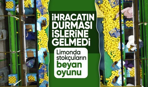 Limonda ihracat durdu stokçuların oyunu ortaya çıktı