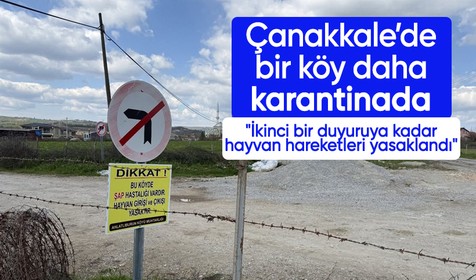 Çanakkale’de bir köye daha hayvan giriş çıkışları yasaklandı