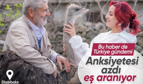 Diyarbakır'da yalnızlıktan anksiyete tespit edilen deve kuşuna eş aranıyor