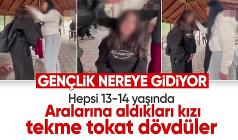 Parkta sıkıştırdıkları kızı döverek tek tek özür dilletiler