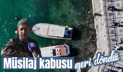 İstanbul'da müsilaj kabusu geri döndü