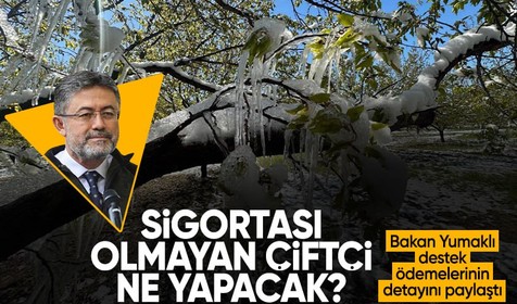 Bakan Yumaklı'dan zirai dondan etkilenen çiftçiler için açıklama! Hasar nasıl karşılanacak?