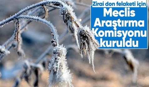 Zirai don felaketi için Meclis Araştırma Komisyonu kuruldu