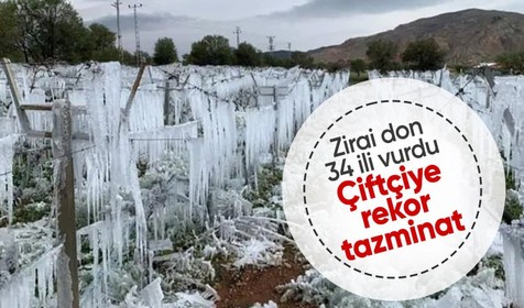 34 ili zirai don vurdu! Sigortalı çiftçiye rekor tazminat