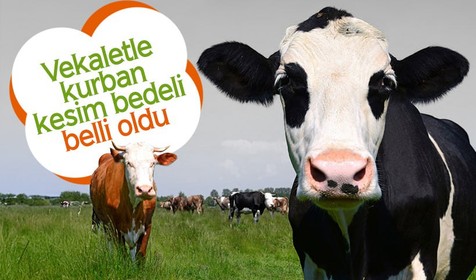 2025 yılı vekaletle kurban kesim bedeli belli oldu