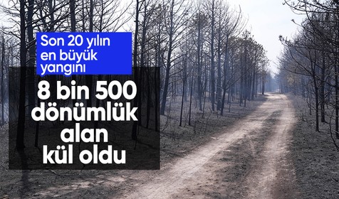 New Jersey'de meydana gelen orman yangında 8 bin 500 dönümlük ormanlık alan kül oldu