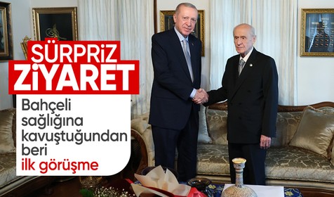 Cumhurbaşkanı Erdoğan, Bahçeli ile görüştü