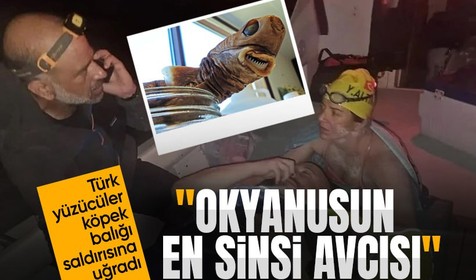 Türk yüzücüler Pasifik Okyanusu'nda köpek balığı saldırısına uğradı