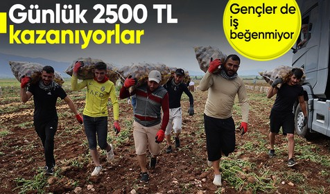 Adana'da günlük 250-300 ton patates yükleyen işçiler 2 bin 500 kazanıyorlara