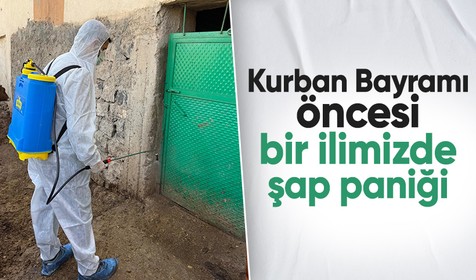 Kurban Bayramı öncesi Şırnak'ta şap paniği! Köy karantinaya alındı