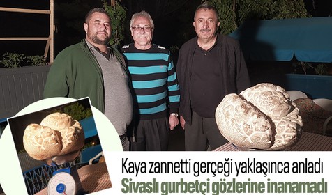 Kaya zannetti gerçeği yanına varınca anladı! Gurbetçi bulduğu mantarla büyük şok yaşadı