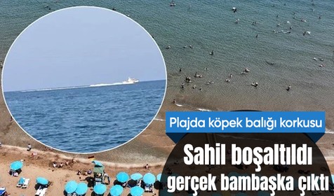 Mersin'de köpek balığı korkusu! Sahil boşaltıldı, gerçek bambaşka çıktı