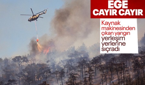 İzmir ve Aydın'da orman yangını! Foça'da yerleşim yerleri zarar gördü