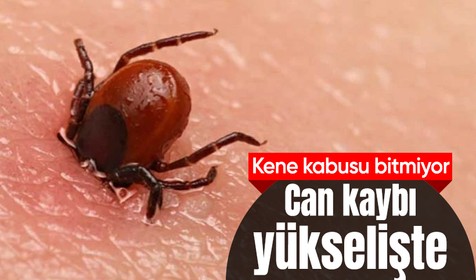 Kene can almaya devam ediyor: Ölü sayısı 8'e yükseldi