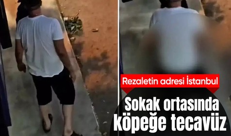 Pendik'te mide bulandıran olay! Sokak ortasında köpeğe tecavüz etti
