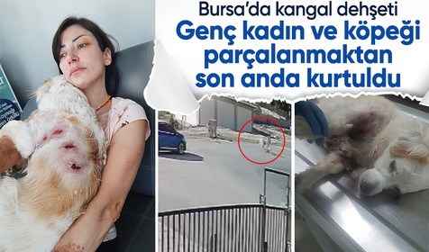 Bursa'da kangal dehşeti: Hem genç kıza hem de köpeğine saldırdılar! O anlar kamerada