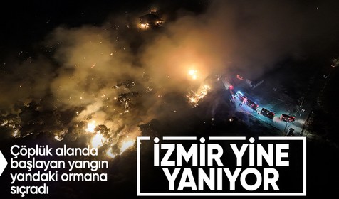 İzmir'in Aliağa ilçesinde çıkan orman yangınına müdahale sürüyor