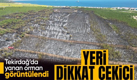 Tekirdağ Şarköy'de yanan orman havadan görüntülendi