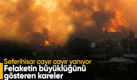 İzmir Seferihisar'da orman yangını! Felaketin büyüklüğünü gösteren kareler