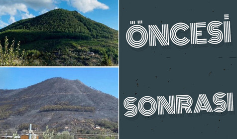 İzmir Seferihisar'da orman yangınlarının öncesi ve sonrası