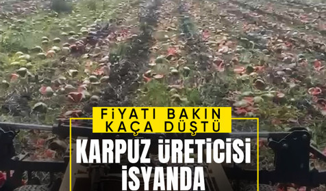 Adana'da karpuzun fiyatı 1 TL'ye kadar düştü! İsyan eden çiftçi ürünü yere atıp parçaladı